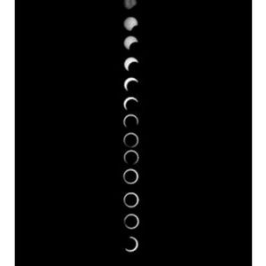 Meet your Posher, Rae